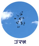 飛蚊症とは、明るい所や白い壁などを見つめたときに、虫や糸くずのような浮遊物が飛んで見える状態